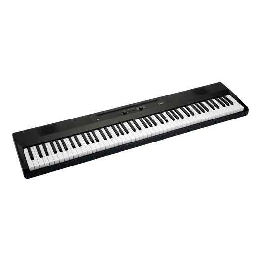 コルグ　手軽に楽しく弾いてみよう！コルグ・デジタル・ピアノ【Liano L1-SP】
