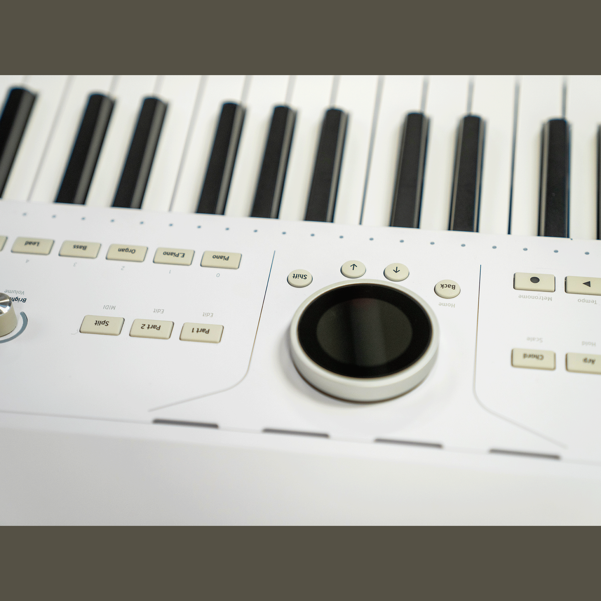 ARTURIA クラシックからモダンまで、幅広いサウンドを【AstroLab 61】