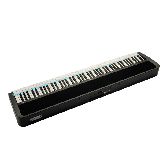 KORG お手軽なのに本格派！コルグ・デジタル・ピアノ【KORG B2 BK】