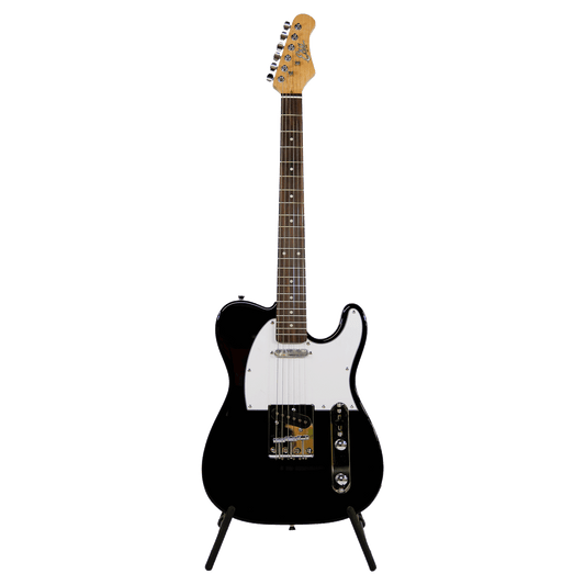 EKO Guitars - OUTLET MUSIC SHOP｜コルグ公式アウトレットオンライン