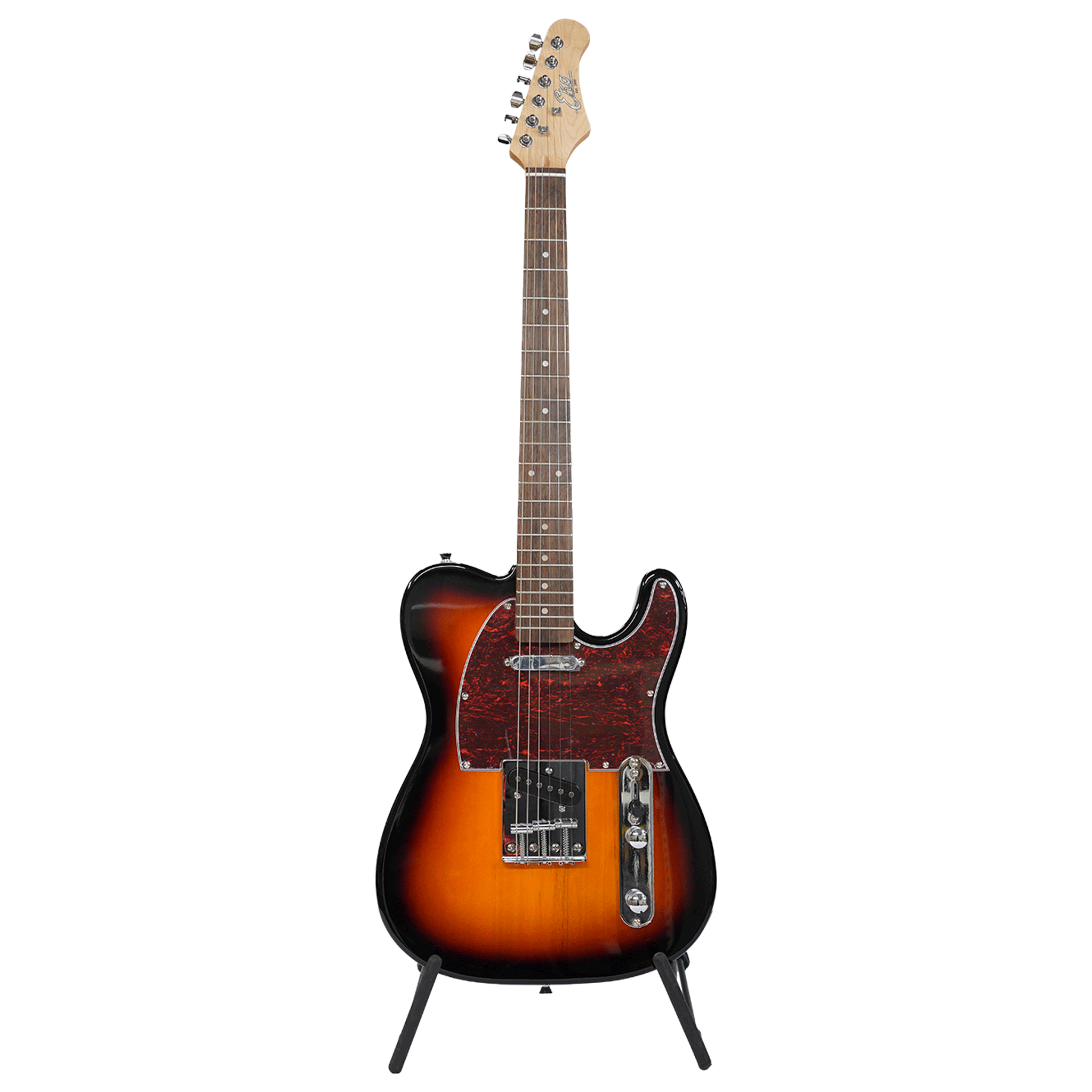 EKO Guitars - OUTLET MUSIC SHOP｜コルグ公式アウトレットオンライン