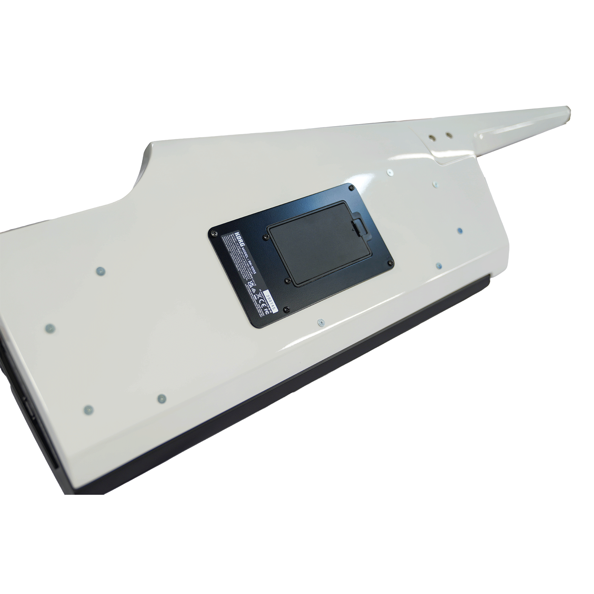 KORG ステージを飛び回ろう！【KORG RK-100S 2WH】