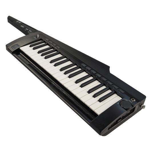 KORG 訳あり特価！スタイリッシュなキーター【RK-100S 2BK】