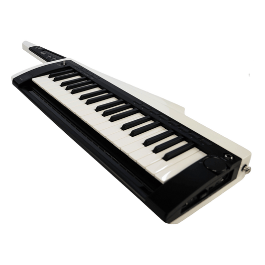 KORG スタイリッシュでステージ映えするキーター【RK-100S 2WH】