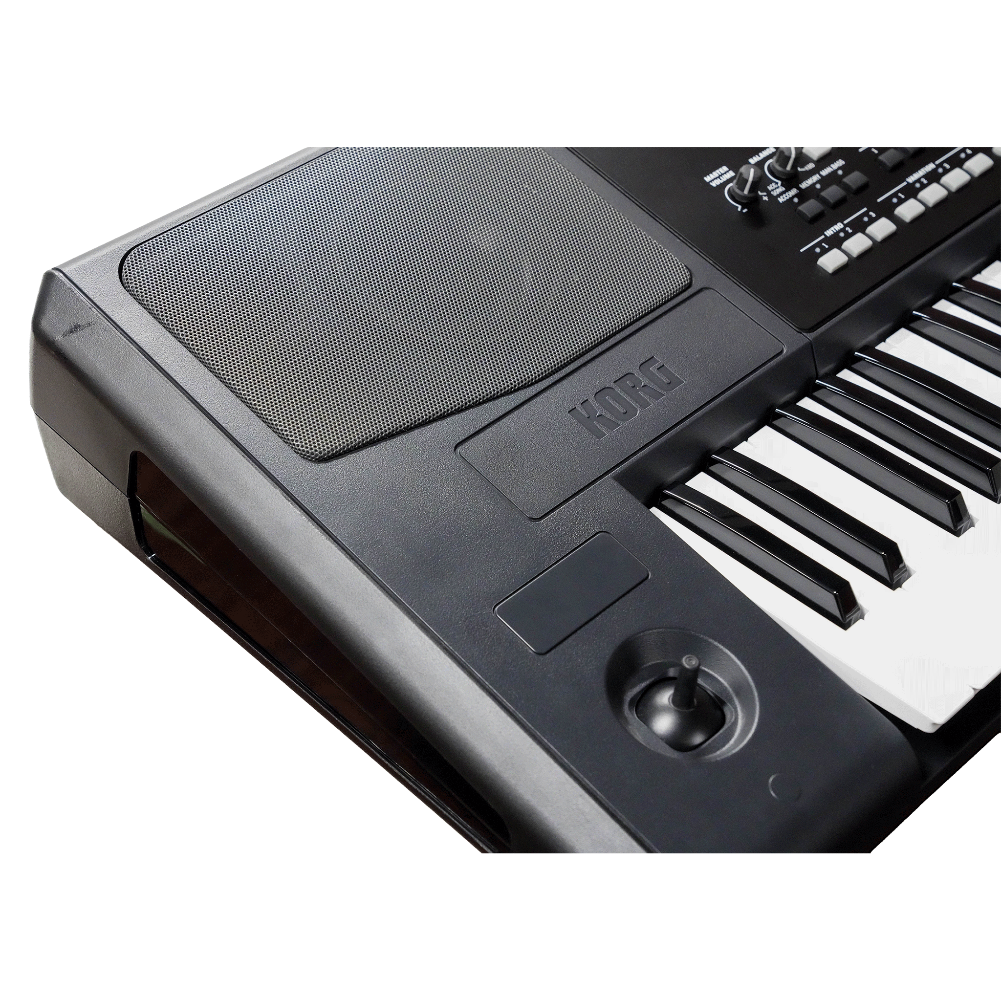 KORG 高品質サウンド＋自動伴奏機能＋スピーカー内蔵の61鍵盤キーボード【Pa300】