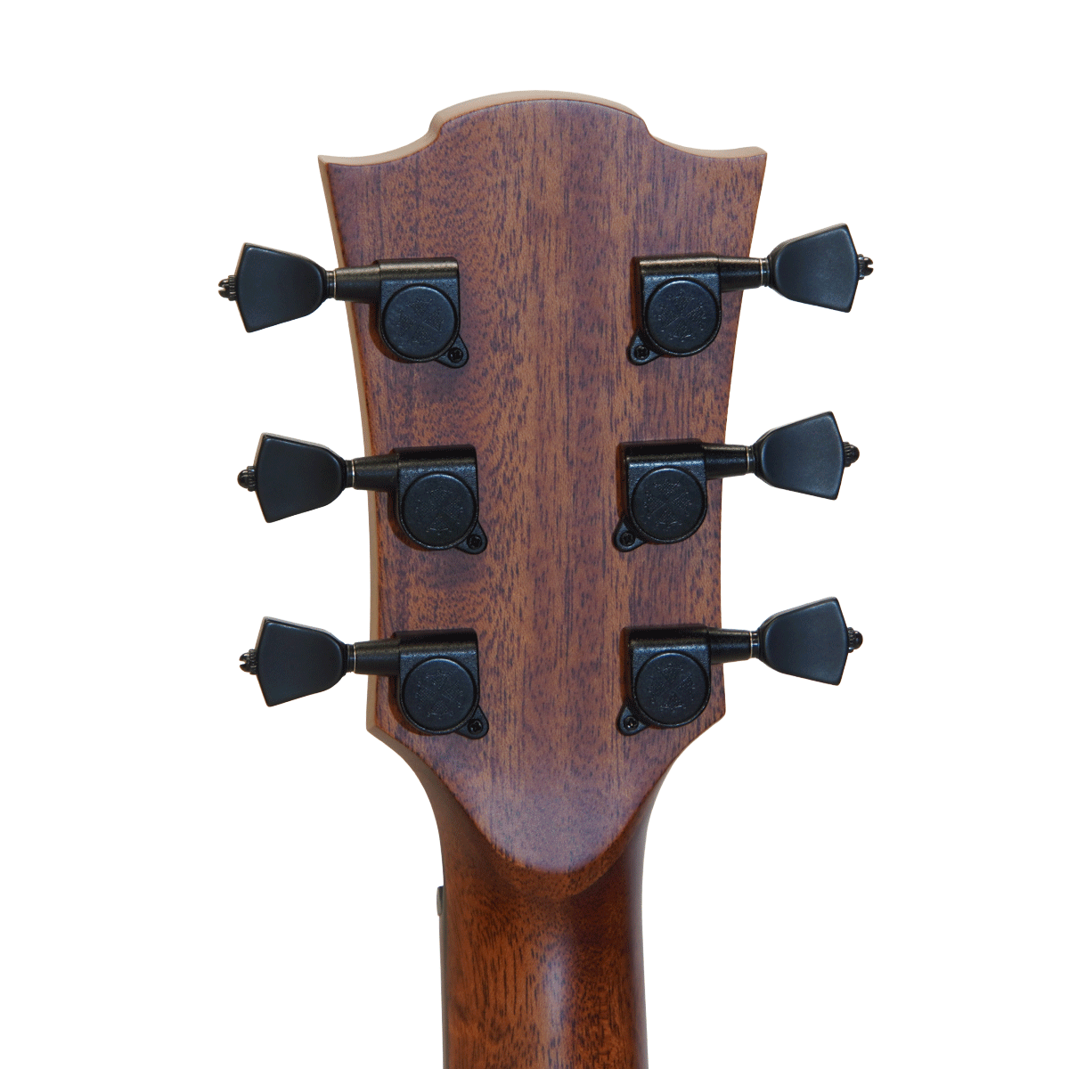 LAG Guitars エレアコ 【T118ACE-BRS】