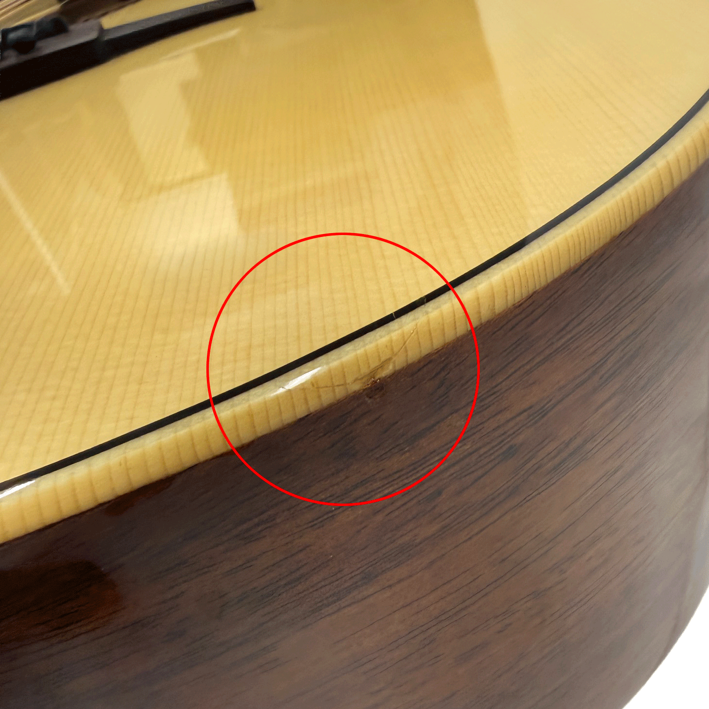 LAG Guitars アコースティックギター 【Tramontane T88A】