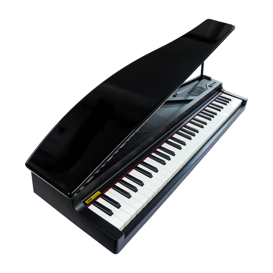 KORG 訳あり特価！おしゃれなコンパクト・ピアノ【MICROPIANO-BK】