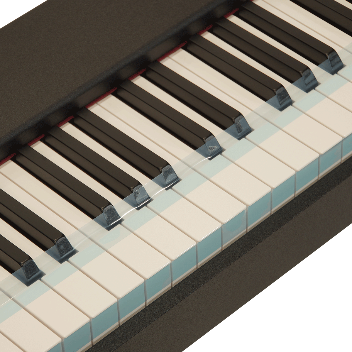 KORG リアルタッチを追求した電子ピアノ【D1】