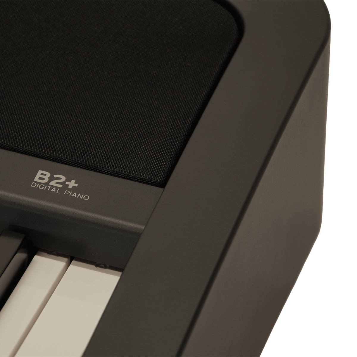KORG スタンド付き！コルグ・デジタル・ピアノ【B2SP BK】