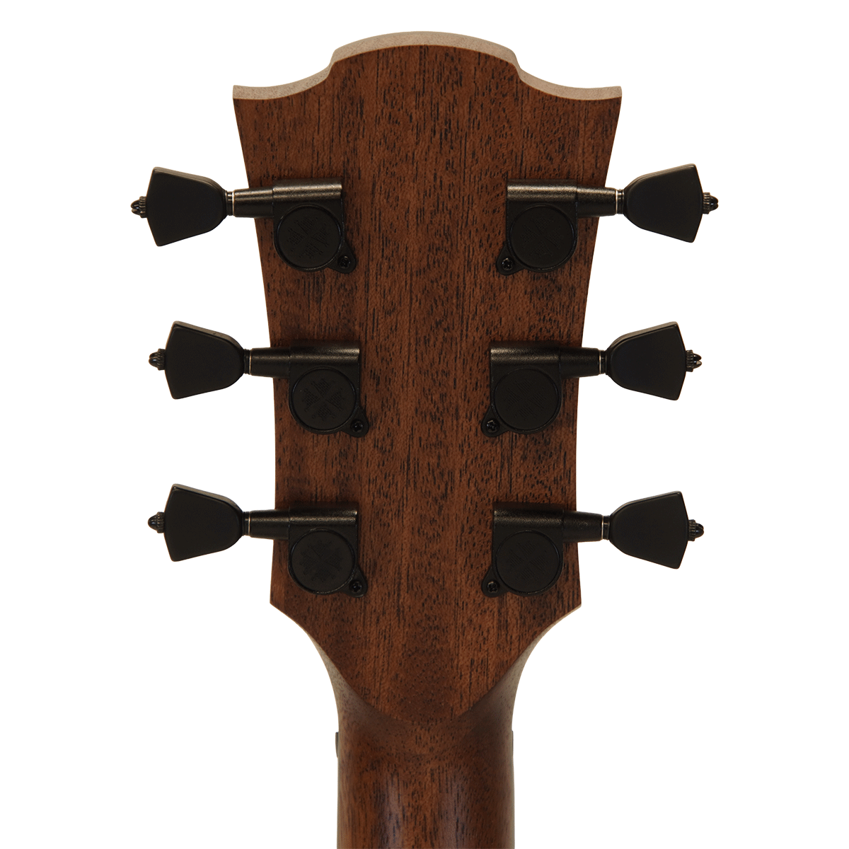 LAG Guitars 環境配慮の革新素材＆ワイルドなラフソーン仕上げ！ドレッドノート・モデル！【SAUVAGE-D】