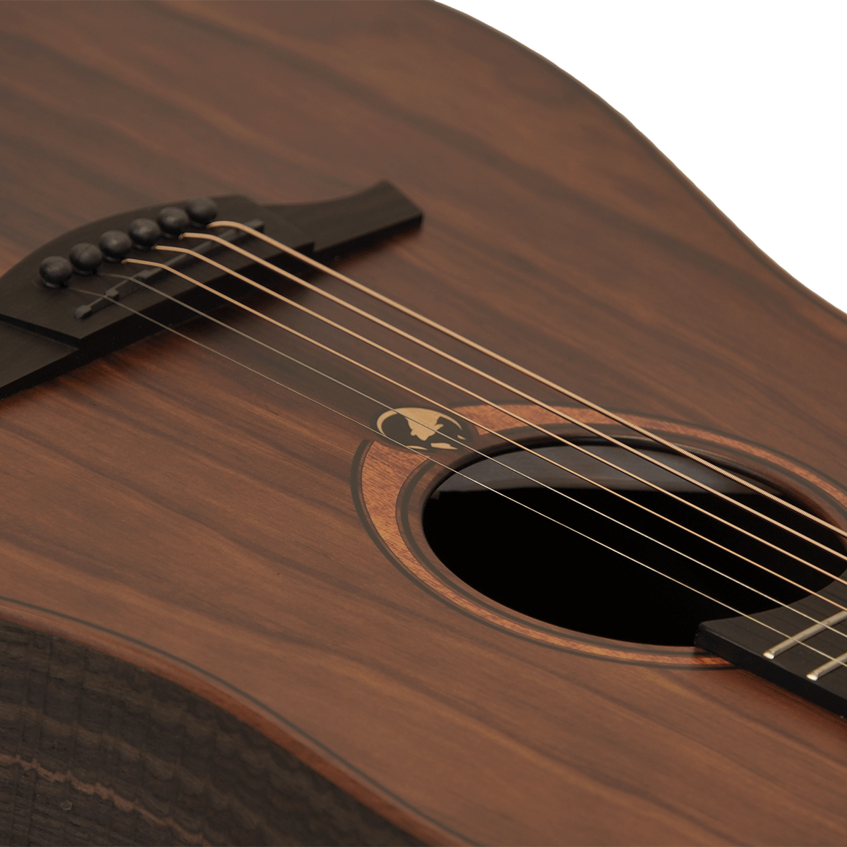 LAG Guitars 環境配慮の革新素材＆ワイルドなラフソーン仕上げ！ドレッドノート・モデル！【SAUVAGE-D】