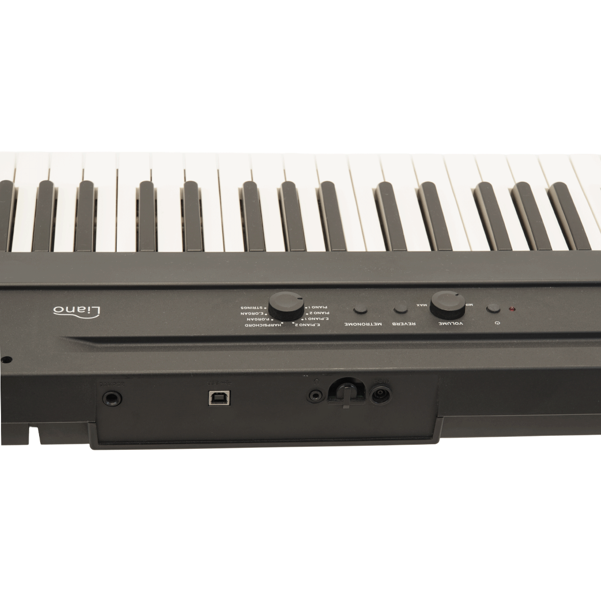 KORG スリムな電子ピアノ、スタンド付【Liano】