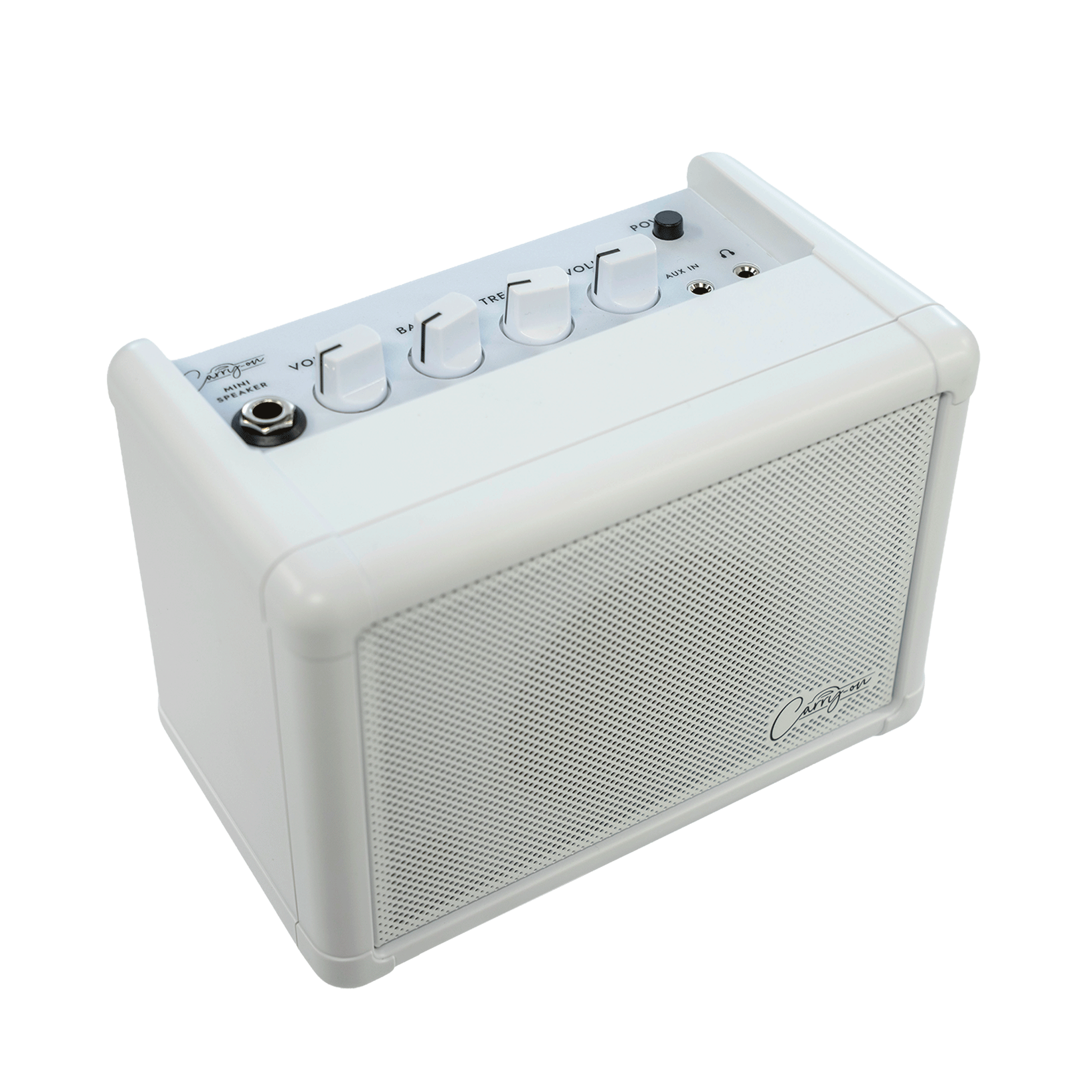 Carry-on　とっても小さな楽器用スピーカー【Carry-on Mini Speaker】