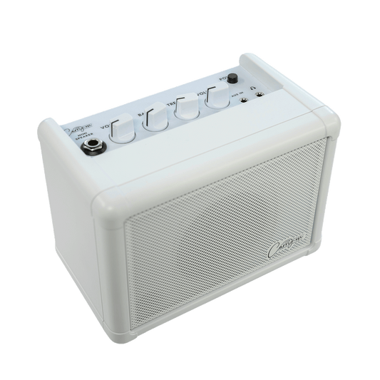 Carry-on　とっても小さな楽器用スピーカー【Carry-on Mini Speaker】