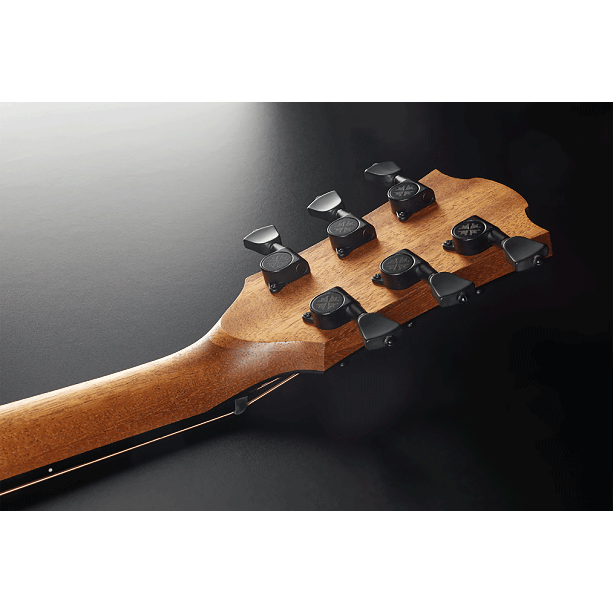 ＃押し弾き タイアップ製品＊LAG GUITAR 【SAUVAGE-D DREADNOUGHT】