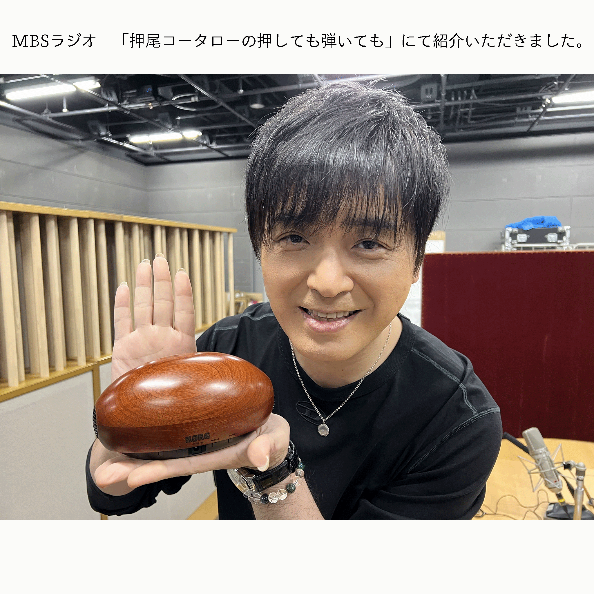 ＃押し弾き　タイアップ製品＊KORG ヒーリング・インテリア【ONYU-W】