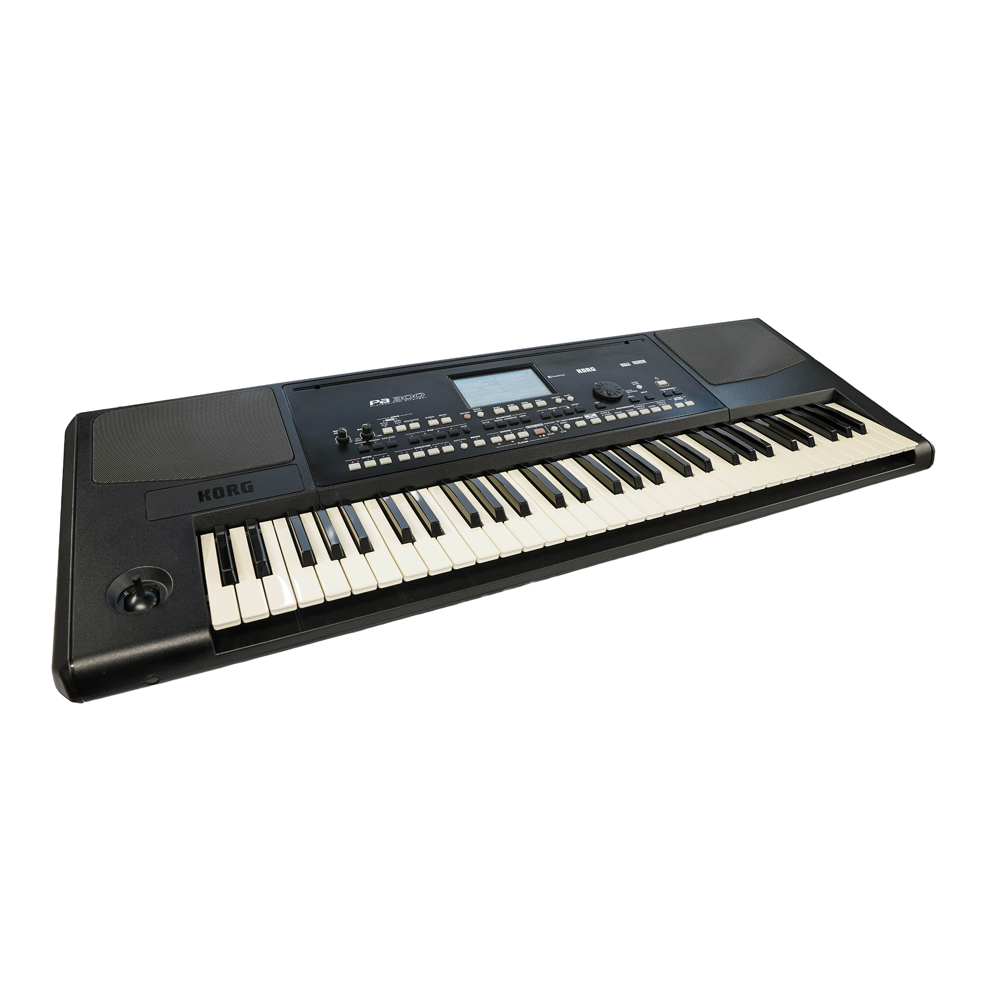 KORG 高品質サウンド＋自動伴奏機能＋スピーカー内蔵の61鍵盤キーボード【Pa300】