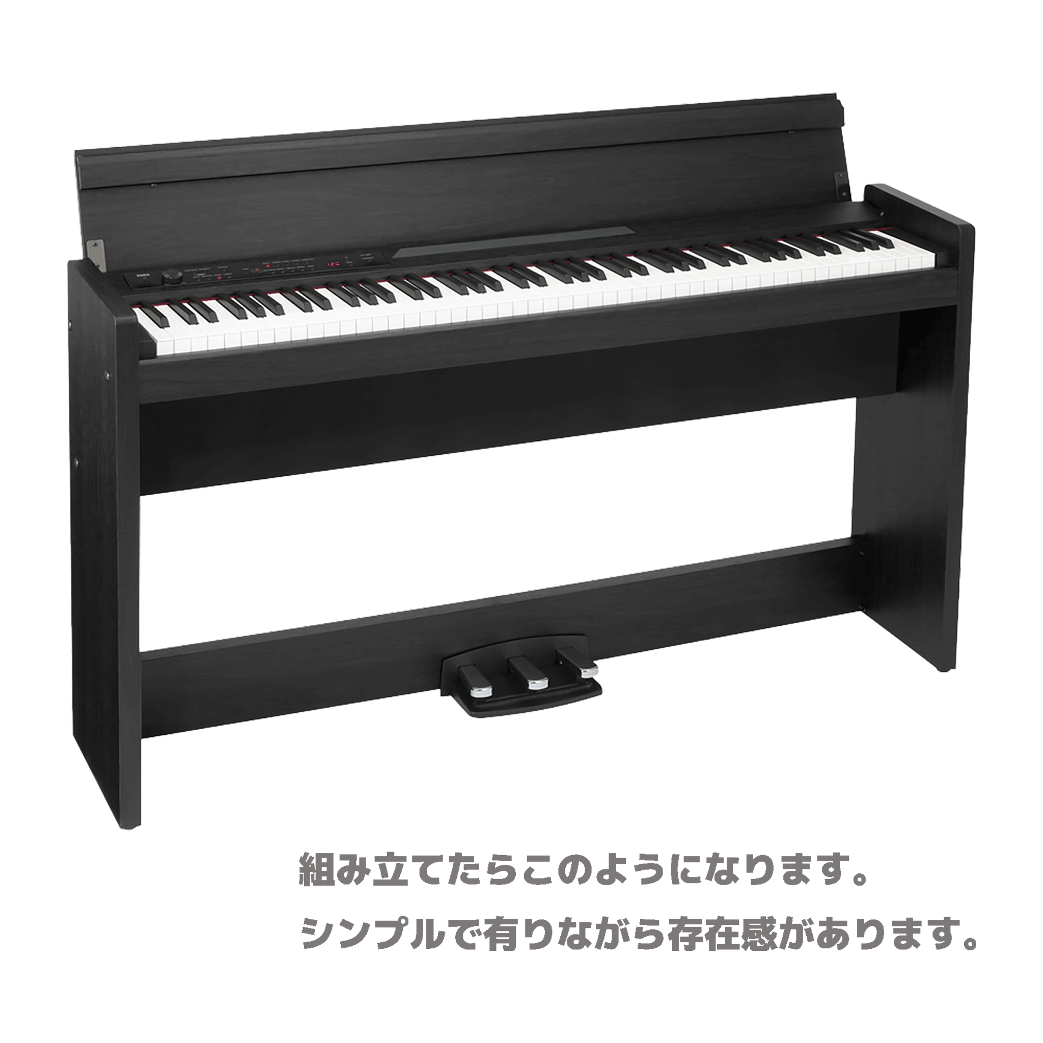 KORG 日本製デジタル・ピアノ・OUTLETだけど1年保証付き！【LP-380-RWBK U】