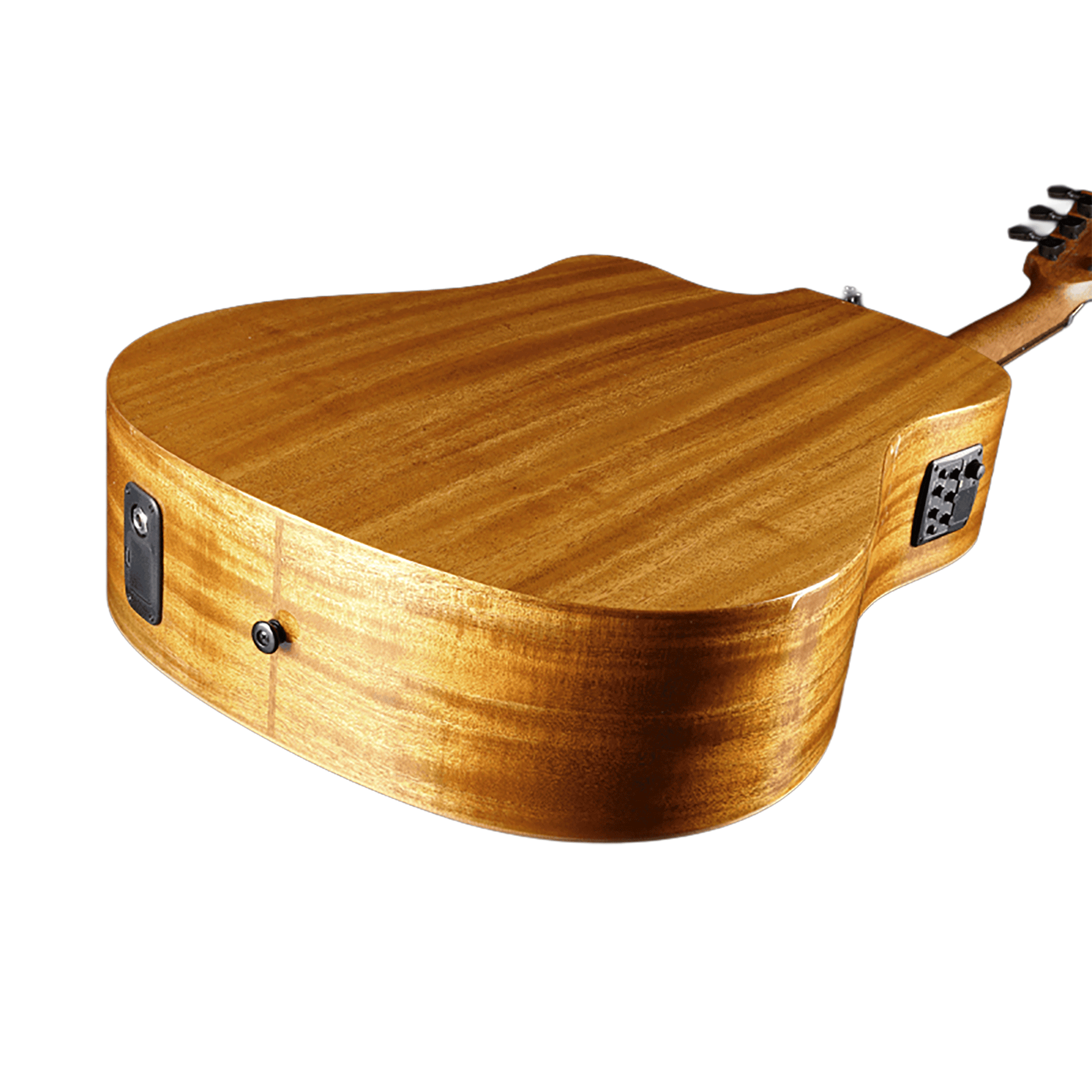 ＃押し弾き タイアップ製品＊アコースティック・エレクトリックギター【LAG T88D DREADNOUGHT】